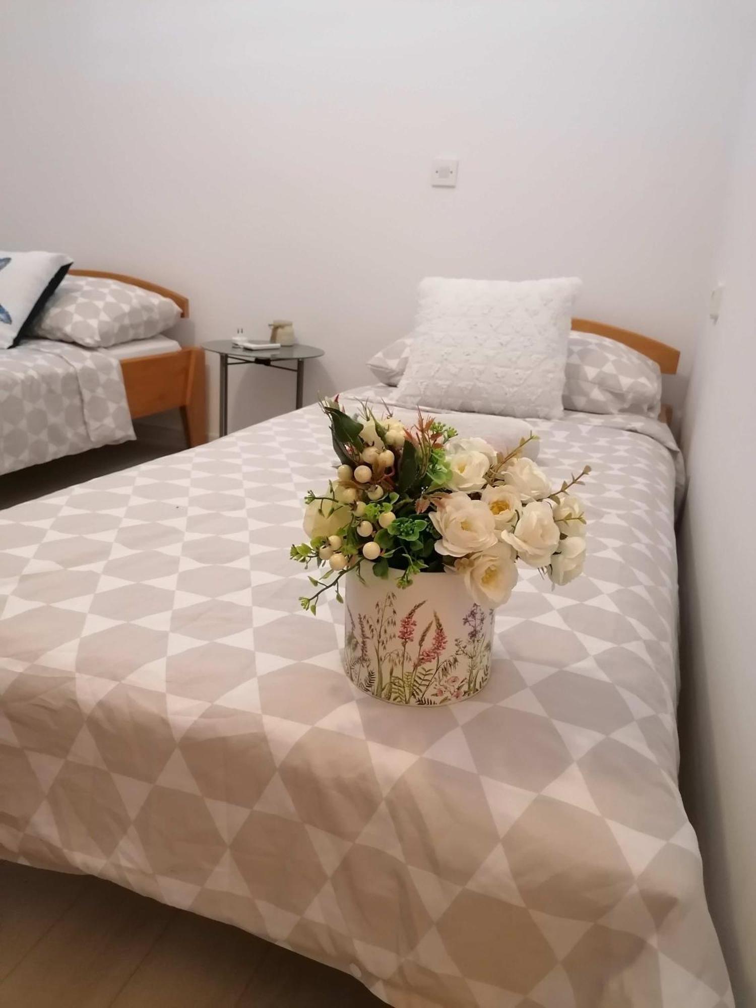 Vulinka Pension 호텔 드라게 외부 사진