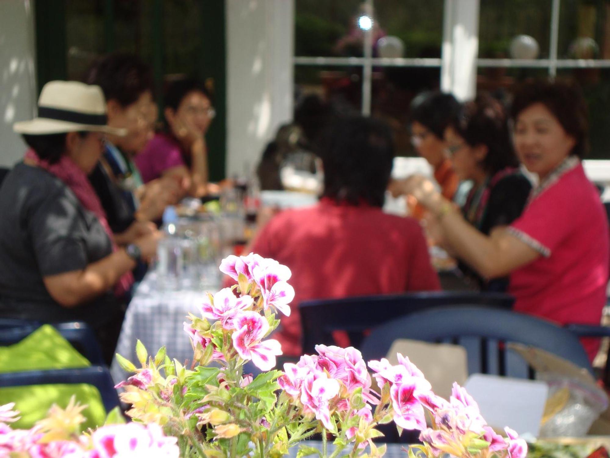 Vulinka Pension 호텔 드라게 외부 사진